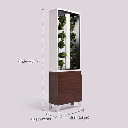 Just Vertical EVE Indoor Hydroponic Garden | Modern Furniture-Style Vertical Planter | Grow 12 Fresh Herbs & Vegetables Year-Round | Self-Watering, Energy-Efficient LED, Compact Design